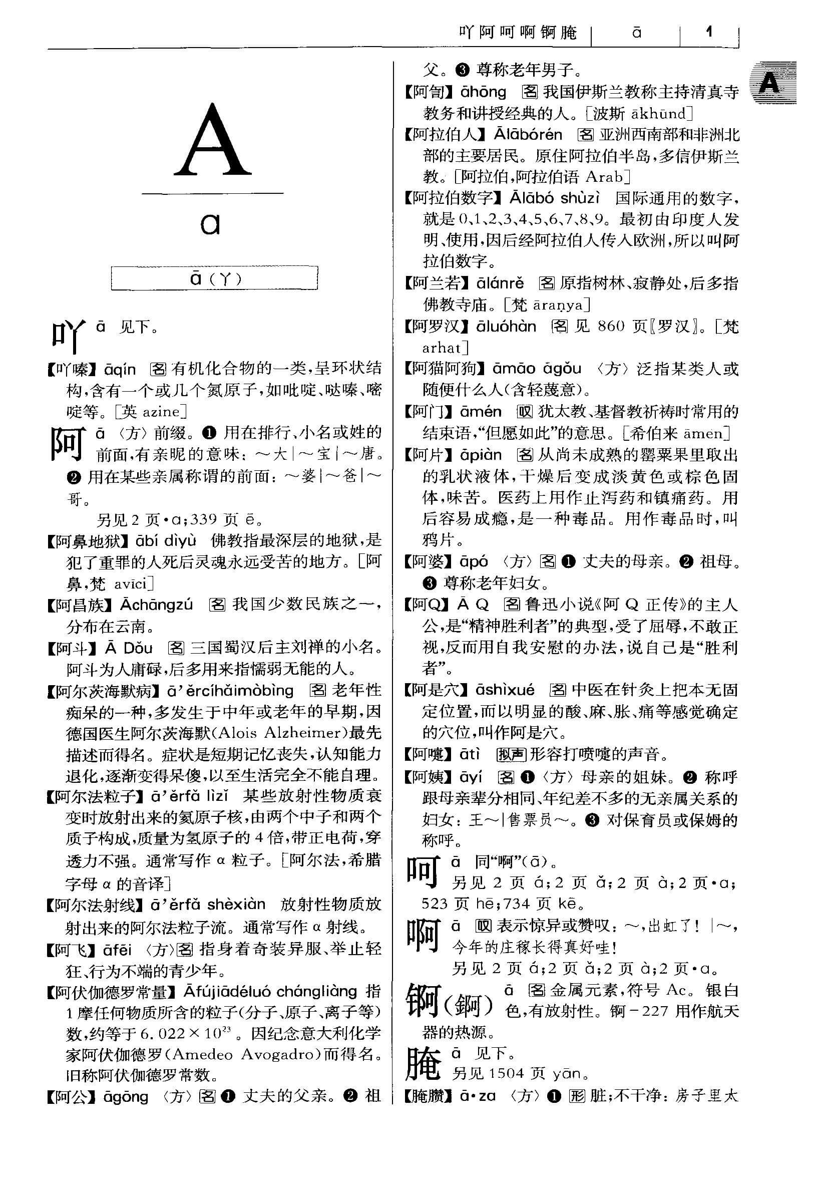 Dictionary Page